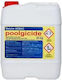 Poolgicide Algizid für Pool 25lt