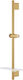 Grohe Smartactive Shower Bar 26602gn0 Universal 630 Mm Shelf Matte Gold