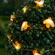 Solarleuchte Blume Warmes Weiß mit Fotowiderstand IP44