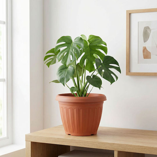 Kunststoff Blumentopf Orange Kunststoff Blumentopf Orange