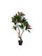 Potted Plant 75x150cm Pink