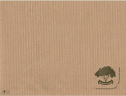 PaperQ Σουπλά 30x40εκ. 250τμχ PaperQ Σουπλά 30x40εκ. 250τμχ