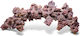Caribsea Life Rock Arche Large