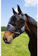 Horse Accessories Cob KOU-0067