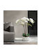 Plantă Artificială Orhidee Albă 58 Cm Elegantă Realistă Decor Acasă Birou Evenimente