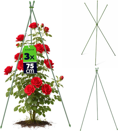 Kadax Set 3 Piese Araci Conici Pentru Grădină 75 Cm 3 Bucăți