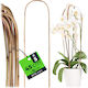Kadax Bamboo Arch Support 45 X 15 Cm 5 Pcs