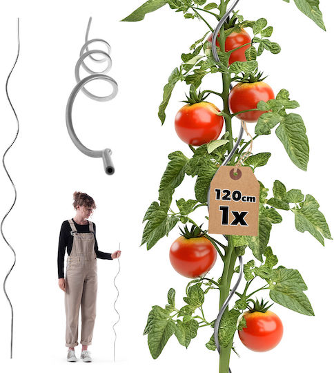 Kadax Spiral Plant Stake Aluminum 120 Cm 1 Pc
