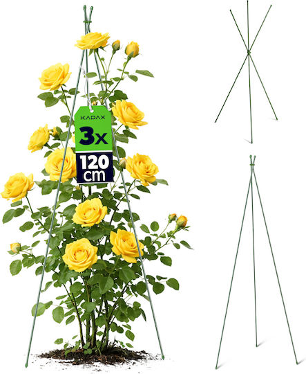 Kadax Conical Garden Stake 3-piece Set 120 Cm 3 Pcs