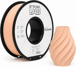 Pla Filament 3d Printer Professional Lab 1 Kg 1.75 Mm Cream