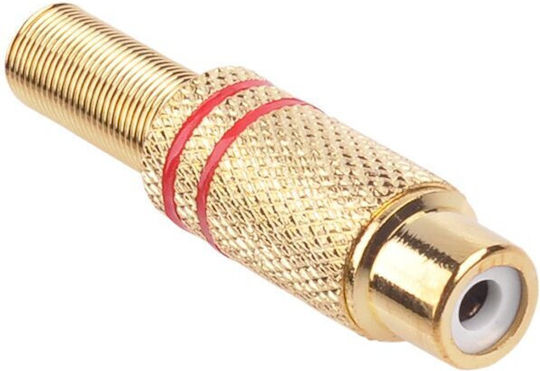 292707 RCA Stecker Weiblich Gold Rot Set 5 Stück