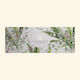 The English soap Company Μπάρες Σαπουνιού με Γλυκερίνη 3x100gr