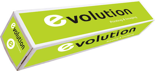 Evolution 4er Pack Premium Extra Plotterpapierrolle 610mm x 50m 80g/m²