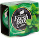Paloma Fresh Box Peppermint Dezodorant Auto 25 G Suport Pahare