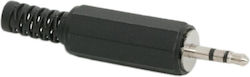 Jack Stereo Prize 2.5 Mm Jack Stereo Prize 2.5 Mm