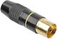 294817 Tv Koaxial Stecker Weiblich Set 5 Teile