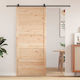 Poartă Tip Hambar Natur 100 x 2,5 x 208 Cm Lemn Masiv De Pin 42047135 Bej