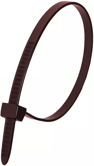 Dedra Δεματικά Καλωδίων Πλαστικά 300mmx4.8mm σε Καφέ χρώμα (100τμχ) (11F48302)