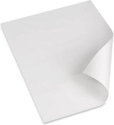 Ριζόχαρτο Λευκό 35x50cm 10kg