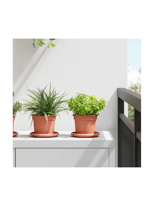 vidaXL Set 6 Ghivece de Flori Plastice Cărămizii