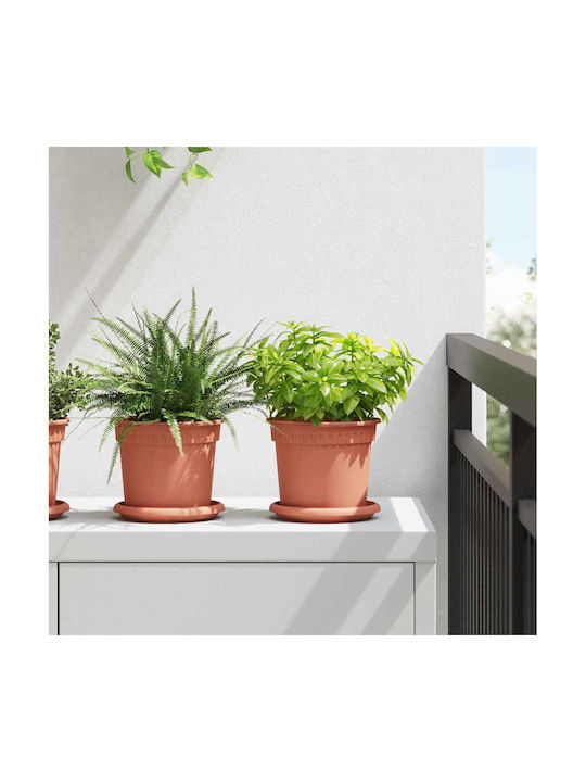 vidaXL Set 6 Ghivece de Flori Plastice Cărămizii