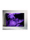 Панел Purple Jellyfish В Морето Модри Медузи В Морето 100x70