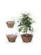Relaxdays Set 3 Ghivece De Flori Din Lemn Bej