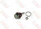 Load Guide Joint Trw Jbj1077
