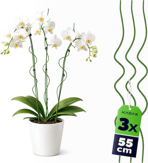 Kadax Spiral Plant Stake Green 55 Cm 3 Pcs