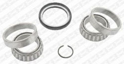 Snr Wheel Bearing Set R173.06
