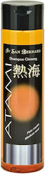 Antioxidant Shampoo Dogs Cats Iv San Bernard Atami Ginseng 300ml Antioxidant Shampoo Dogs Cats Iv San Bernard Atami Ginseng 300ml