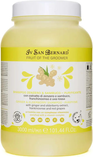 Iv San Bernard Ingwer Holunderbeere Shampoo Für Neue Hunde Katzen 3l