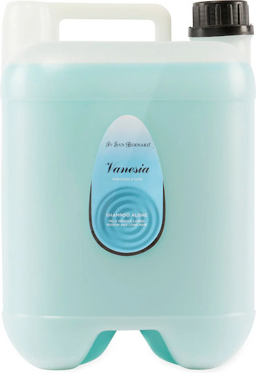Iv San Bernard Vanesia Marine Algae Shampoo Für Langhaarige Hunde Katzen 10l