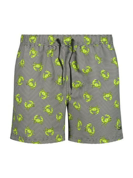 CMP Men's Swim Shorts Green Striped