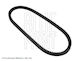 Blue Print Ad13v765 Ribbed Transmission Belt