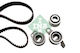 Set Curea De Distribuție Ina 530 0245 10