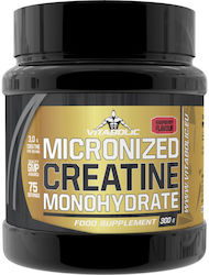 Vitabolic SRL 100% Micronized Creatine Monohydr...