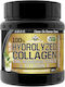 Vitabolic SRL 100% Hydrolyzed Collagen 7500mg 300gr Berries