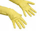 Vileda Vileda Ofenhandschuhe Reinigungsset Mittel