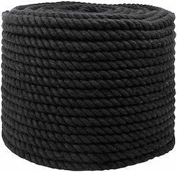 vidaxl Seil Schwarzes 1 x 1 x 2500 cm Baumwolle