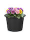 Vilde Kunststoff Blumentopf Schwarz