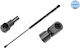 Meyle Trunk Shock Absorber 140 910 0037