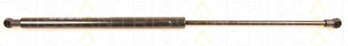 Triscan 8710 29249 Trunk Shock Absorber