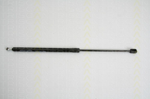 Triscan 8710 29278 Kofferraum-Schockabsorber