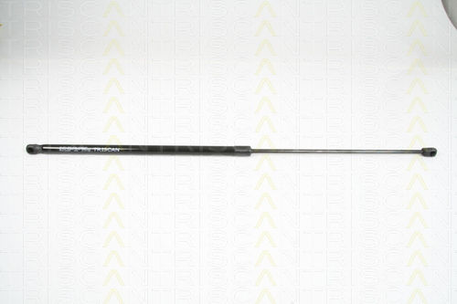 Triscan Kofferraum-Schock 8710 29129