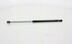 Triscan 8710 25264 Trunk Shock Absorber