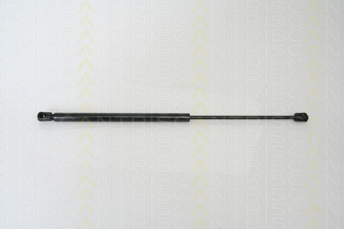 Triscan Kofferraum-Schock 8710 24105