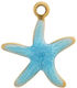 Steel Starfish Pattern Enamel 11x13mm 1 Piece