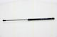 Triscan 8710 66207 Trunk Shock Absorber