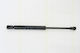 Triscan 8710 29265 Trunk Shock Absorber
